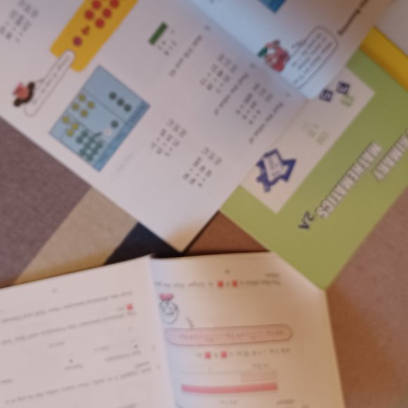 Bundle of Singapore Math Home instruction and Textbooks grades 1-3 - Picture 4 of 8